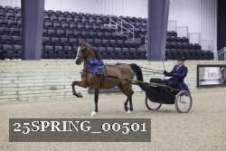 25SPRING_00501 thumbnail