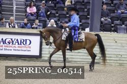 25SPRING_00514 thumbnail