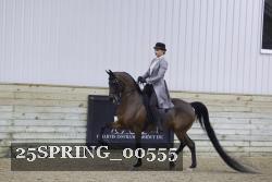 25SPRING_00555 thumbnail