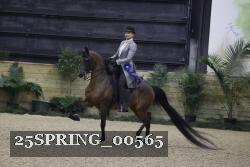 25SPRING_00565 thumbnail