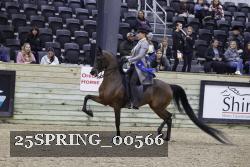 25SPRING_00566 thumbnail
