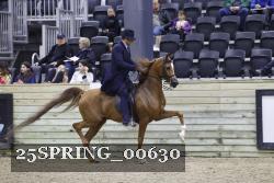 25SPRING_00630 thumbnail