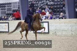 25SPRING_00636 thumbnail