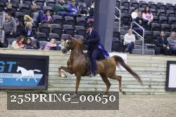 25SPRING_00650 thumbnail