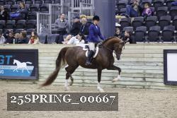 25SPRING_00667 thumbnail