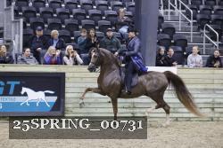25SPRING_00731 thumbnail