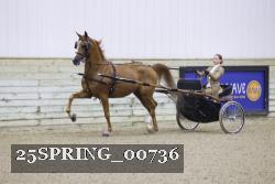25SPRING_00736 thumbnail