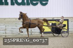 25SPRING_00737 thumbnail
