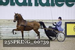 25SPRING_00739 thumbnail