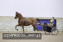25SPRING_00741 thumbnail