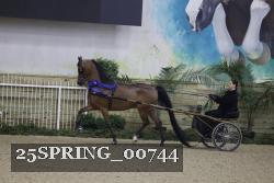 25SPRING_00744 thumbnail