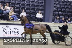 25SPRING_00750 thumbnail