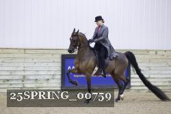 25SPRING_00759 thumbnail
