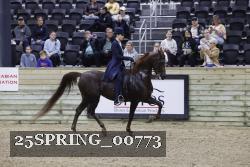 25SPRING_00773 thumbnail