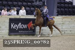 25SPRING_00782 thumbnail