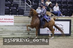 25SPRING_00784 thumbnail