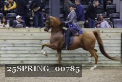 25SPRING_00785 thumbnail