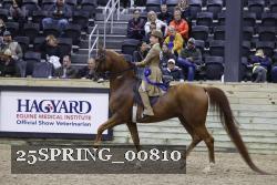 25SPRING_00810 thumbnail