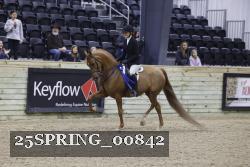 25SPRING_00842 thumbnail