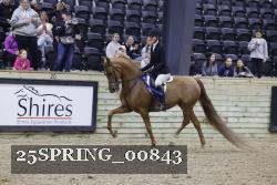 25SPRING_00843 thumbnail