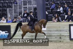25SPRING_00877 thumbnail