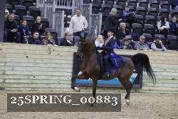 25SPRING_00883 thumbnail