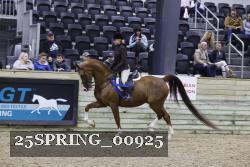 25SPRING_00925 thumbnail