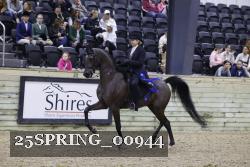 25SPRING_00944 thumbnail