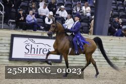25SPRING_01023 thumbnail