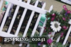 25SPRING_01041 thumbnail
