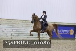 25SPRING_01080 thumbnail