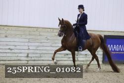 25SPRING_01082 thumbnail