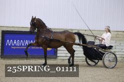 25SPRING_01111 thumbnail