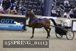 25SPRING_01113 thumbnail