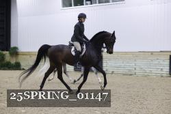 25SPRING_01147 thumbnail