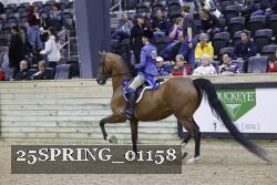 25SPRING_01158 thumbnail