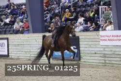 25SPRING_01225 thumbnail