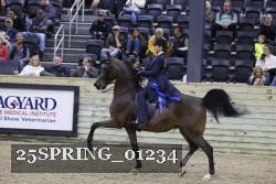 25SPRING_01234 thumbnail