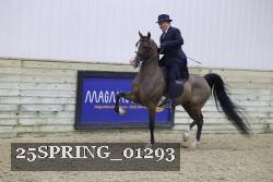 25SPRING_01293 thumbnail