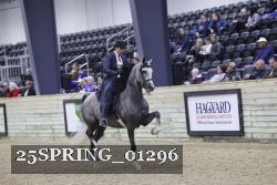 25SPRING_01296 thumbnail