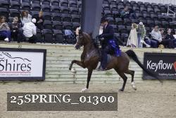 25SPRING_01300 thumbnail
