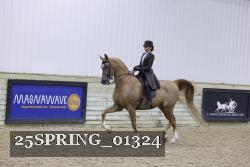 25SPRING_01324 thumbnail