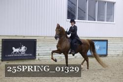 25SPRING_01329 thumbnail