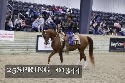 25SPRING_01344 thumbnail