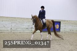 25SPRING_01347 thumbnail