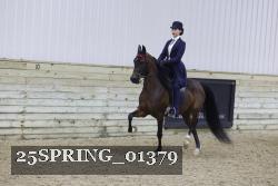 25SPRING_01379 thumbnail