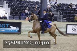 25SPRING_01410 thumbnail