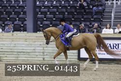25SPRING_01443 thumbnail