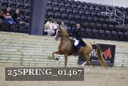 25SPRING_01467 thumbnail
