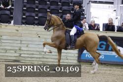 25SPRING_01469 thumbnail